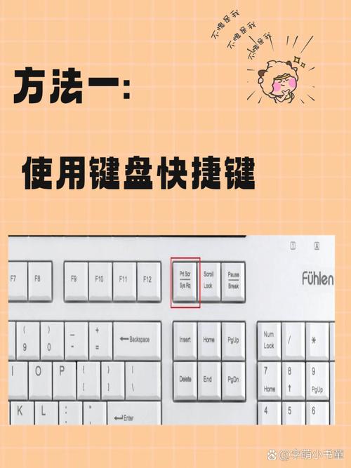 如何截电脑全屏?具体步骤是什么?