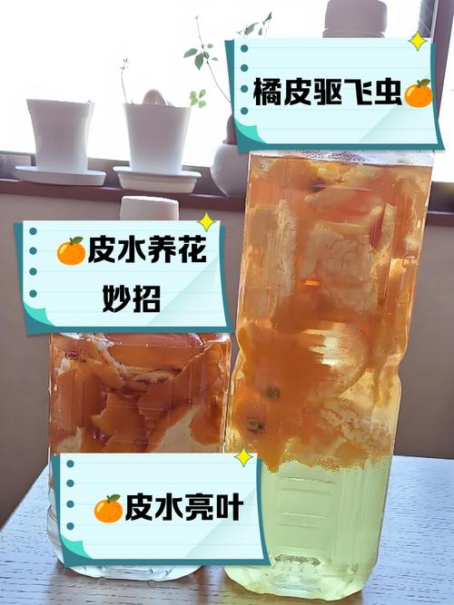 桔子皮可以做花肥料吗？橘子皮可以做肥料浇花吗