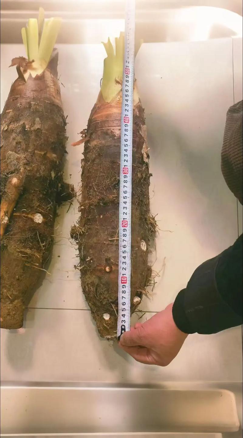 请问韶关哪里有土特产批发市场呢?请问韶关哪里有土特产批发市场呢