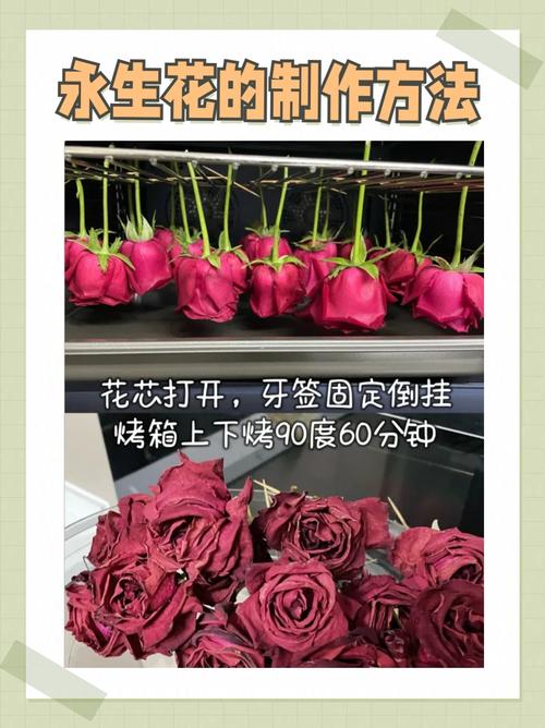 请问新鲜玫瑰花能用来做什么呢?新鲜玫瑰花的妙用