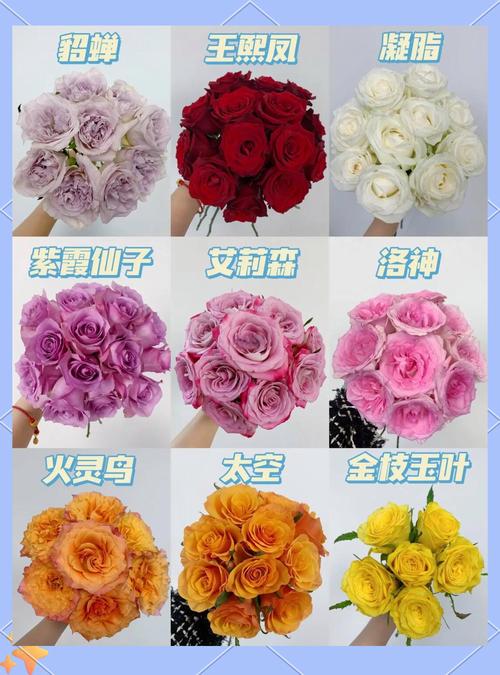 请问新鲜玫瑰花能用来做什么呢?新鲜玫瑰花的妙用