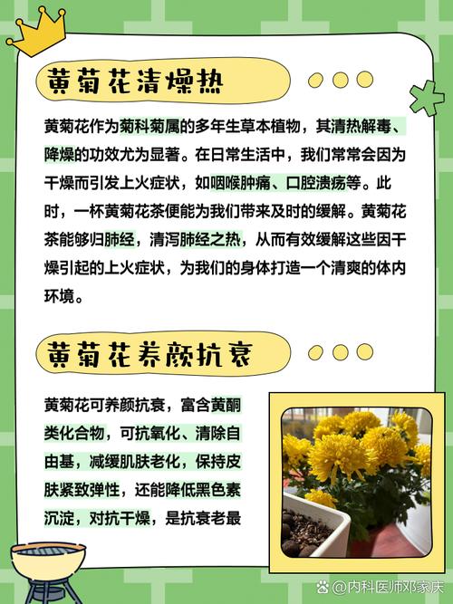 菊花可以去湿气吗??菊花去体内湿气吗
