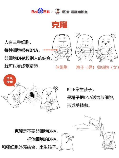 克隆技术的发展前景？克隆技术的未来发展