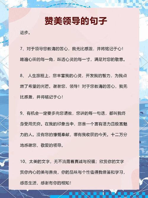 想请教领导的观点应该怎么说?向领导请教用什么词