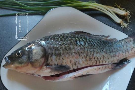 鱼开膛破肚后多久能消停？鱼开膛破肚能活多久