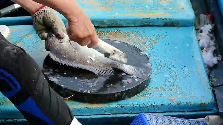 鱼开膛破肚后多久能消停?鱼开膛破肚能活多久