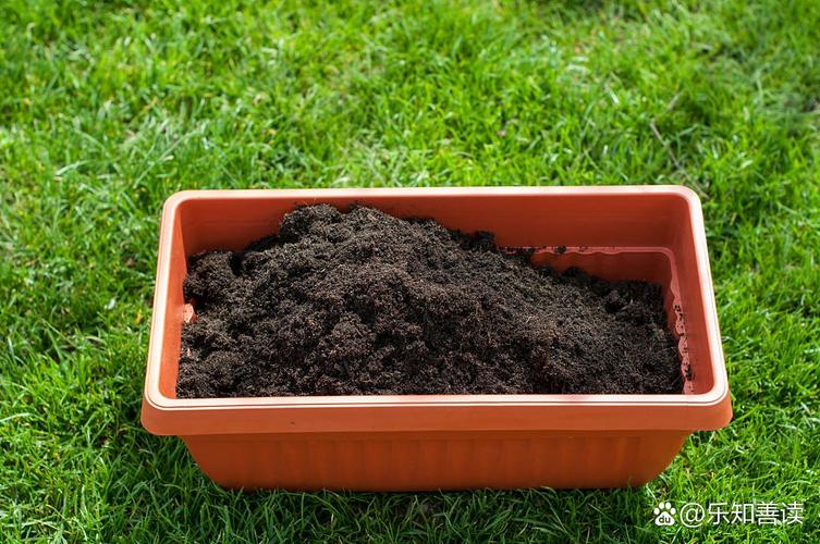 苹果酵母液制作方法?苹果酵母液制作方法窍门