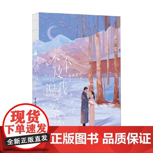 来不及说我爱你后续小说?来不及说我爱你 番外篇