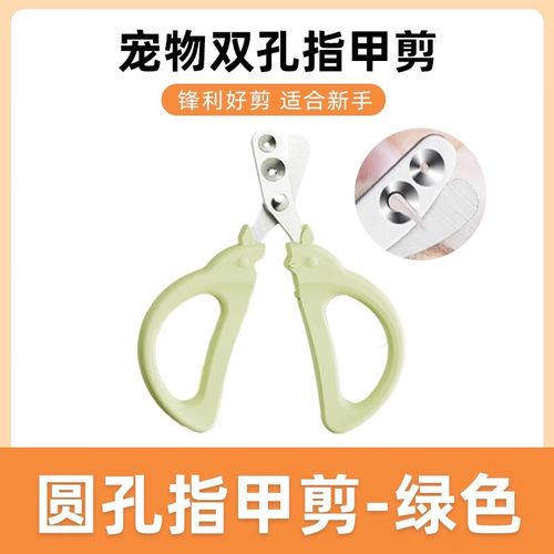 虎皮鹦鹉的指甲能不能剪？给虎皮鹦鹉剪指甲