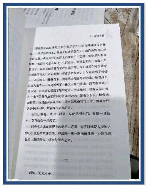 青铜葵花书名的三层意思是什么?青铜葵花这个书名有什么含义