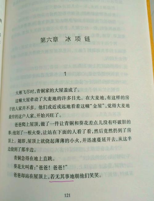 青铜葵花书名的三层意思是什么?青铜葵花这个书名有什么含义