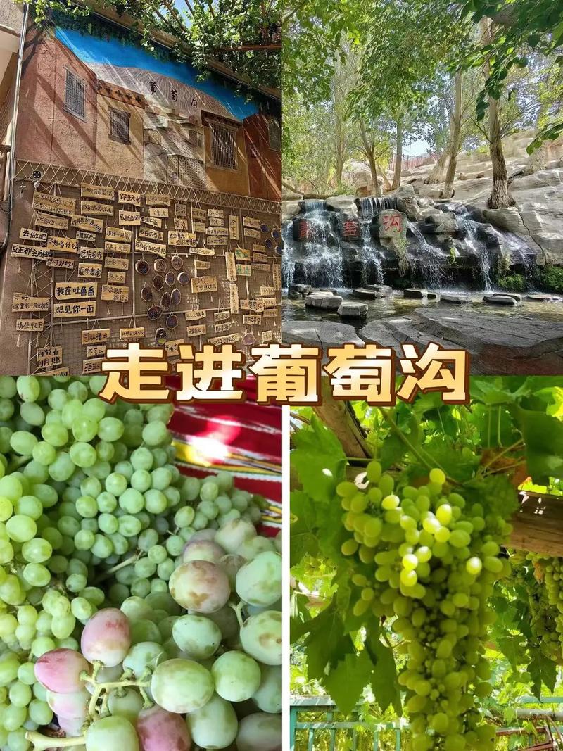 河北葡萄沟在哪里？河北葡萄沟农家院