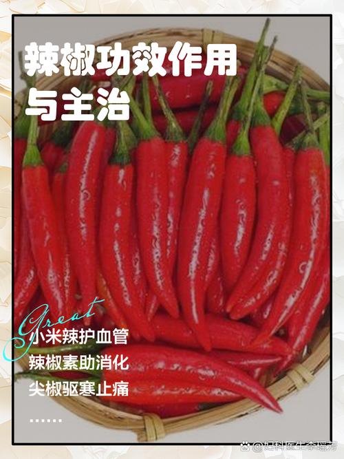 辣椒吃多了有坏处吗??辣椒吃多了有什么坏处吗?