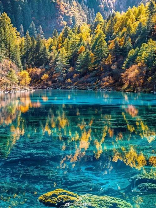 9月初适合去哪里旅游？10月末11月初适合去哪里旅游