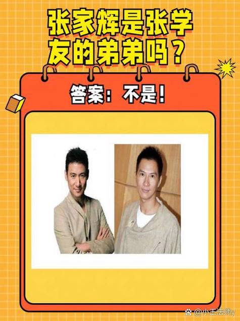 亲兄弟的关系是什么关系？亲兄弟算什么关系