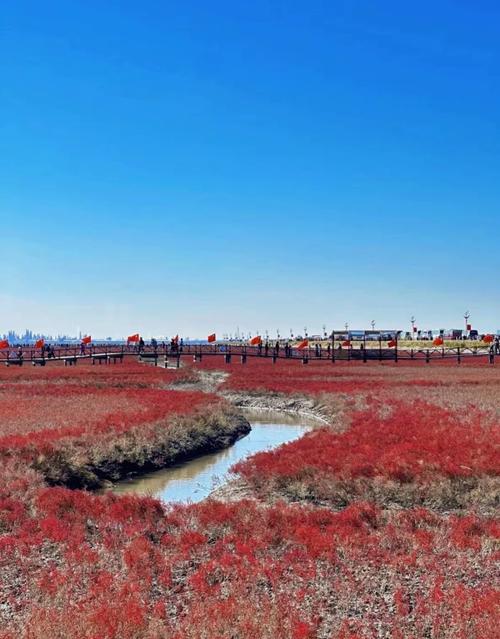 盘锦周边游玩景点推荐?盘锦周边游玩有哪里