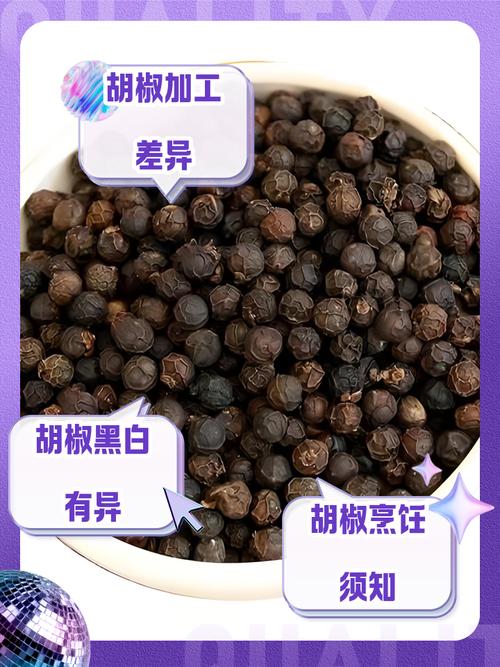 黑胡椒和白胡椒的作用与功效？黑胡椒和白胡椒的药用价值