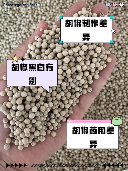 黑胡椒和白胡椒的作用与功效?黑胡椒和白胡椒的药用价值
