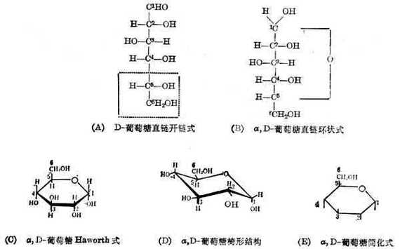 葡萄糖环状结构有几个手性碳？葡萄糖环状结构有几个手性碳原子构成