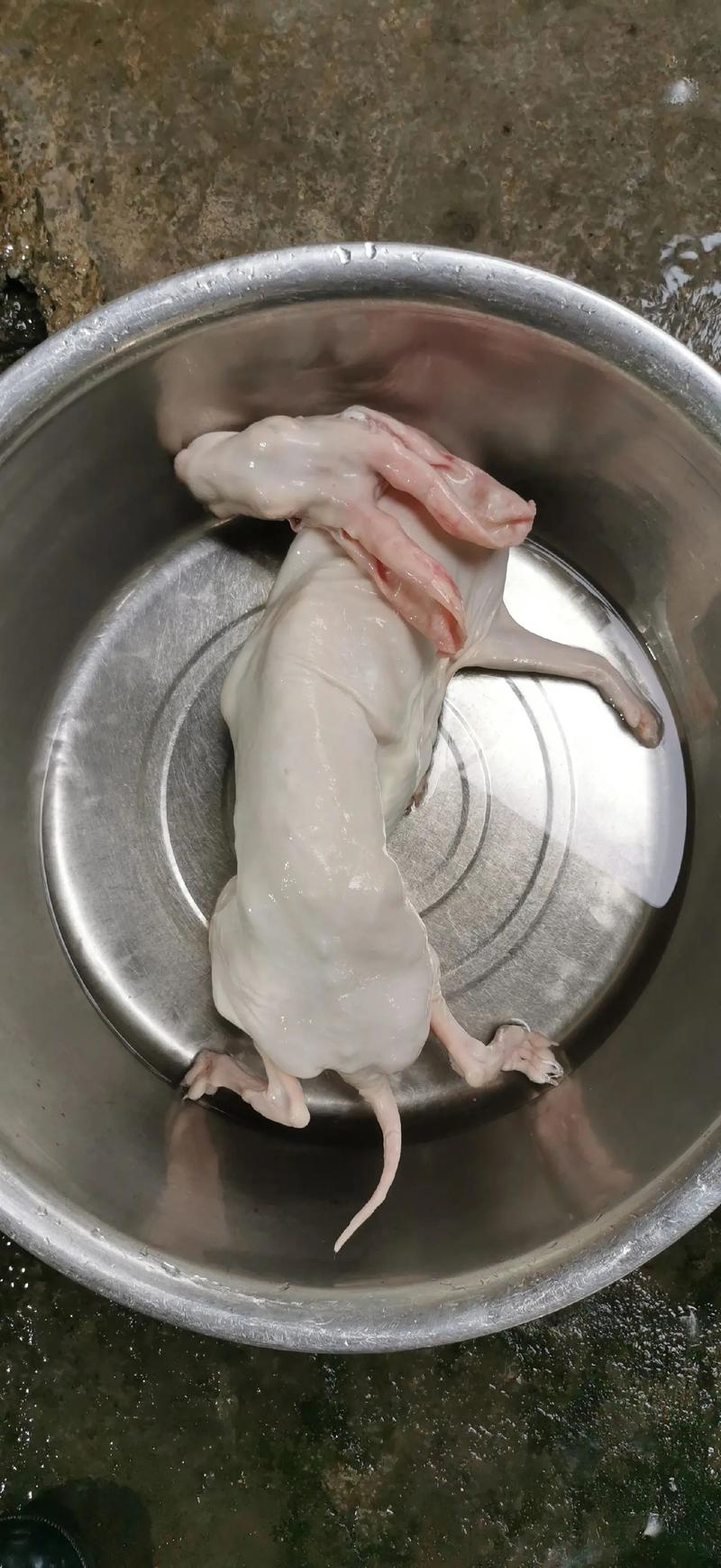 腊兔怎么做好吃呢?腊兔怎么煮