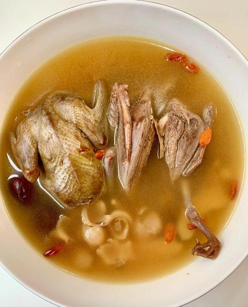 清炖鸽子怎么做好吃又简单？清炖鸽子的最好做法鸽子肉