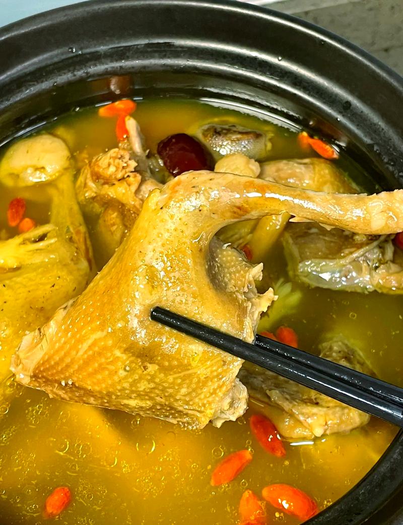 清炖鸽子怎么做好吃又简单?清炖鸽子的最好做法鸽子肉