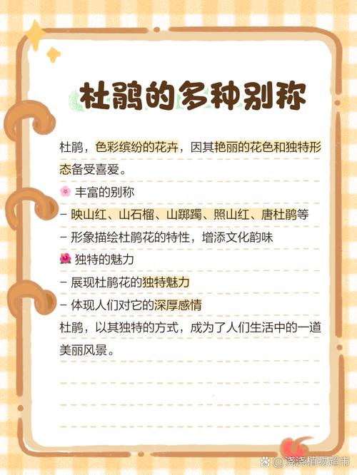 鹃能组什么词语呢？鹃可以组什么词语和成语