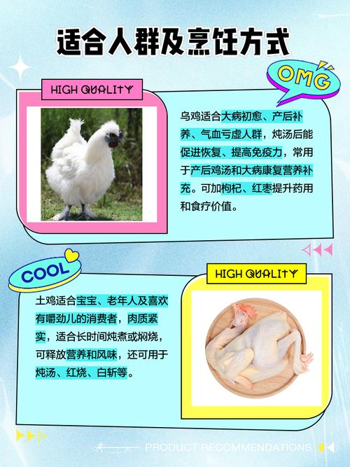 土鸡和乌鸡哪个营养更好？土鸡和乌鸡的区别