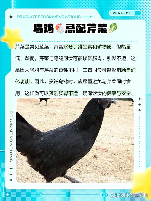 土鸡和乌鸡哪个营养更好?土鸡和乌鸡的区别