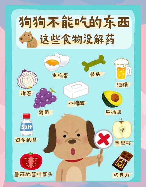 拉布拉多哪些东西不能吃?拉布拉多不能吃的食物清单