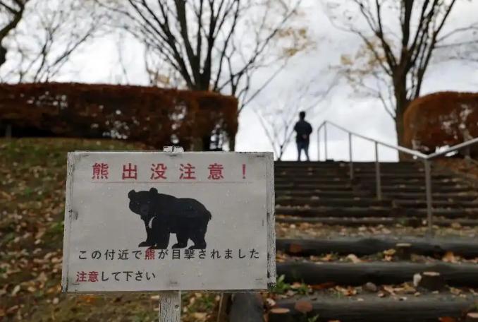 中国90后勇赴日本治“熊灾”:新一代猎人的跨国环保实践