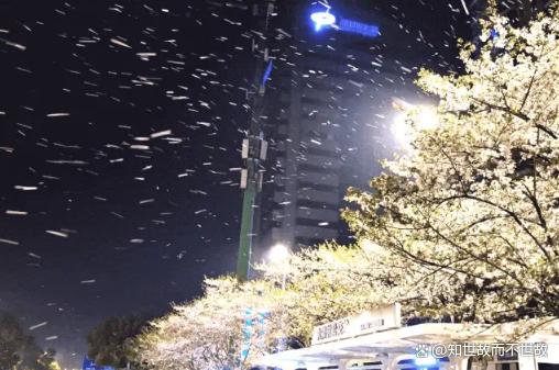 湖北妖风又现!半夜吹车入水塘?车主无奈自捞准备换新车