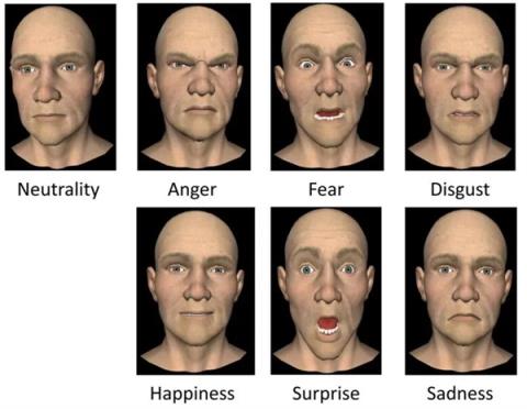 为什么有的人天生“面相有点凶”(图5)