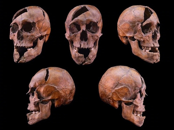 奥特曼还没缓过神 阿里提着枪就来狙击了(图24)