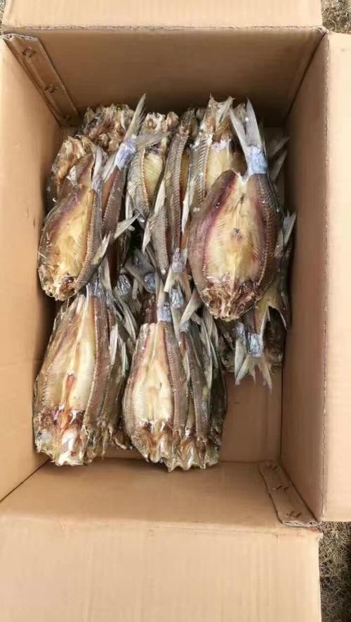 翘嘴白是什么鱼??翘嘴白是白条吗