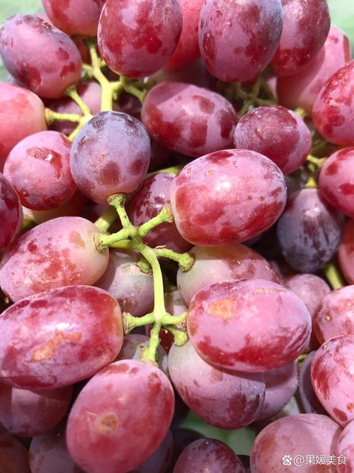 葡萄水果是什么水果？葡萄水果是什么水果类