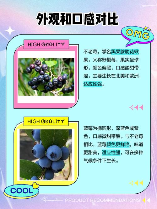 蓝莓和草莓有什么区别和联系?蓝莓和草莓哪个更有营养