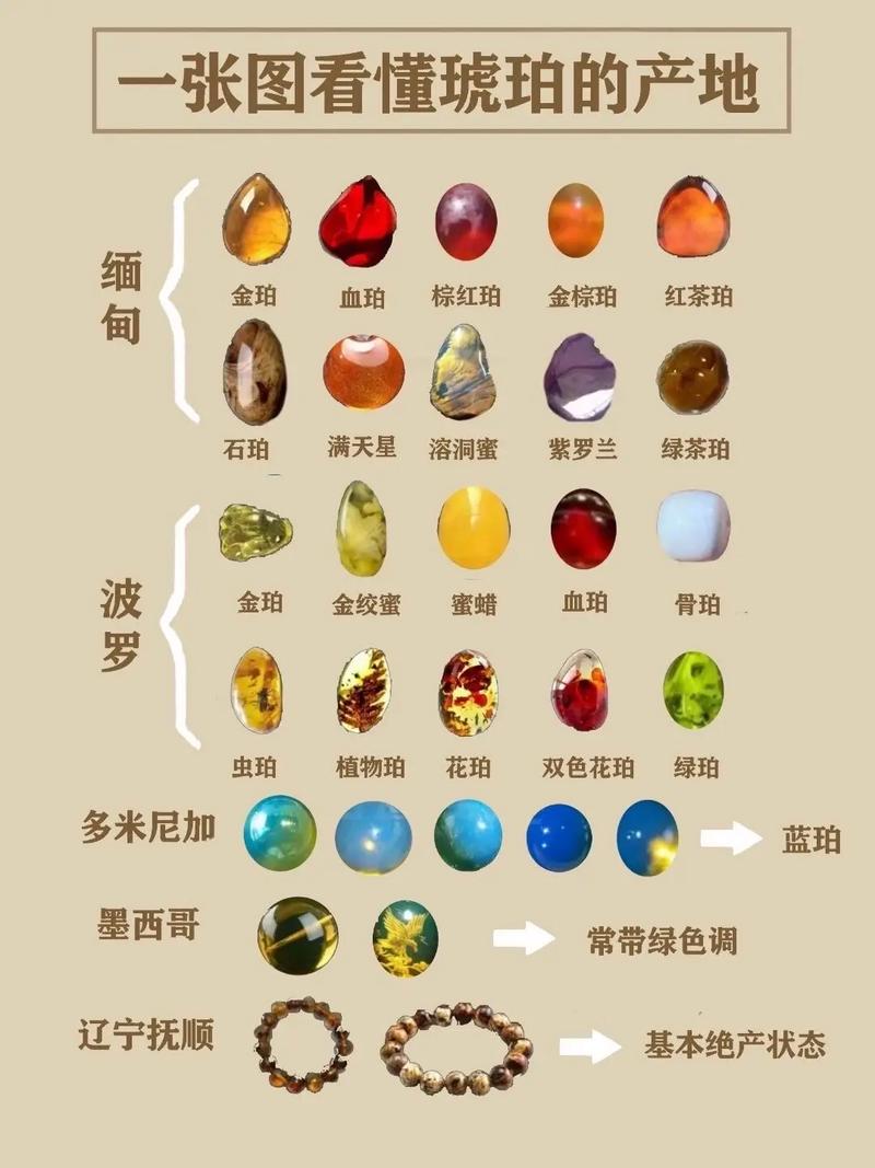 琥珀的历史价值是什么？琥珀的历史价值是什么呢