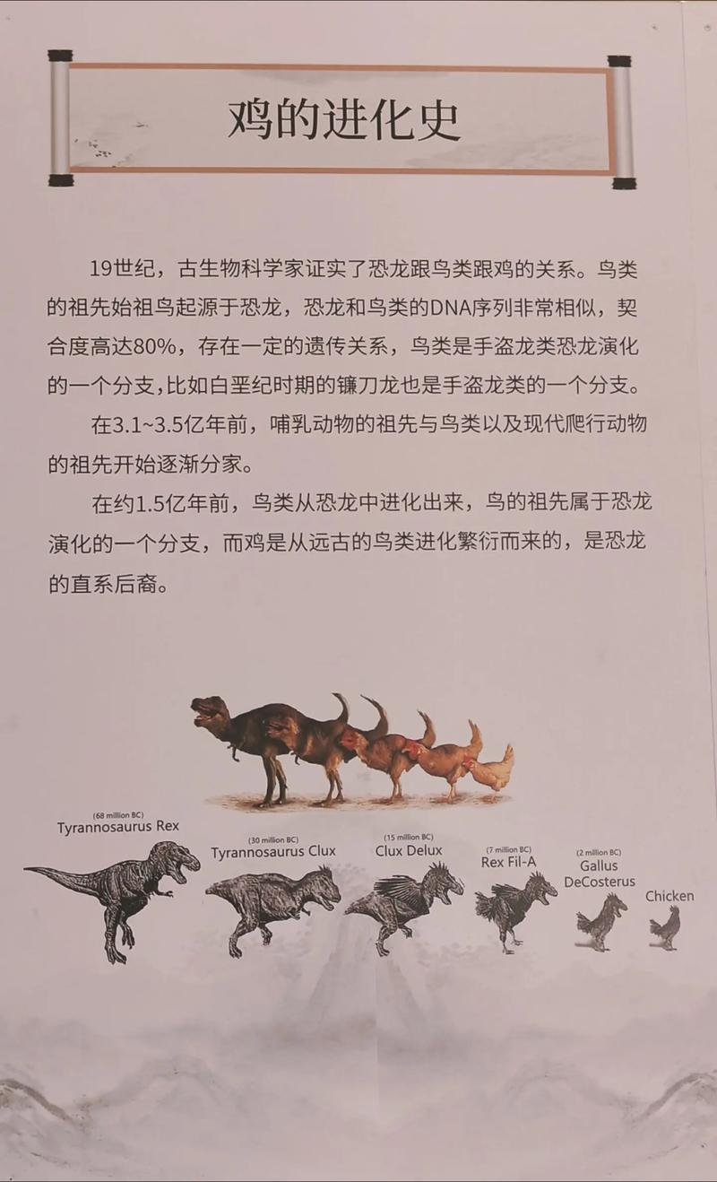 恐龙最早在哪个世纪?恐龙最早是什么纪