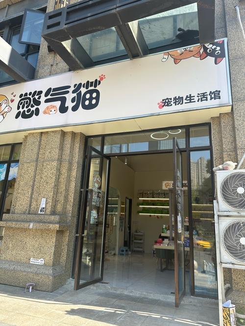 莆田哪儿有卖猫呢的地方？莆田哪里有卖猫的地方