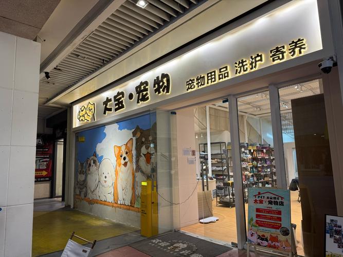 莆田哪儿有卖猫呢的地方?莆田哪里有卖猫的地方