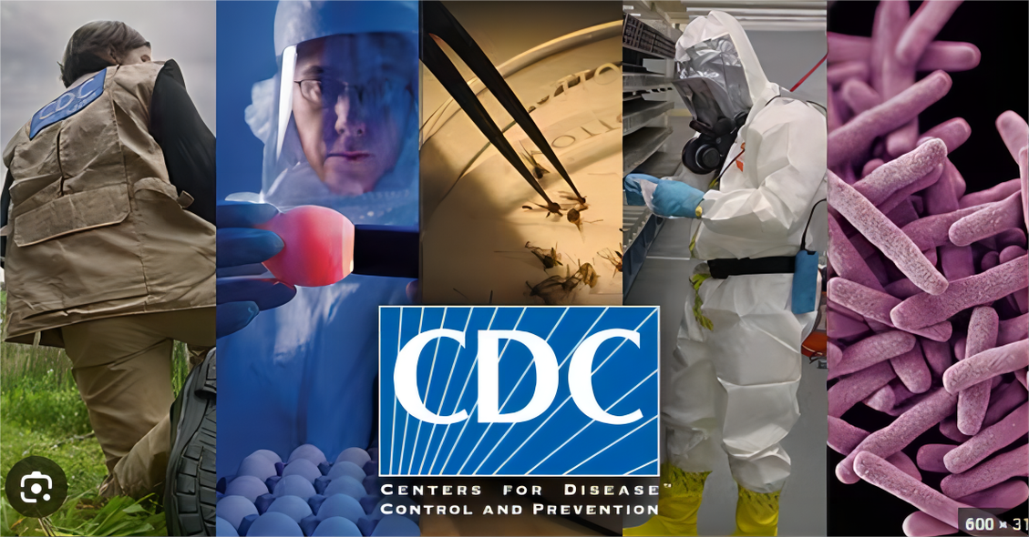 美国cdc是什么组织?美国cdc属于政府吗