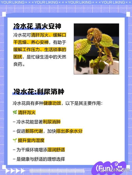 空调水浇花有什么坏处?空调水用来浇花