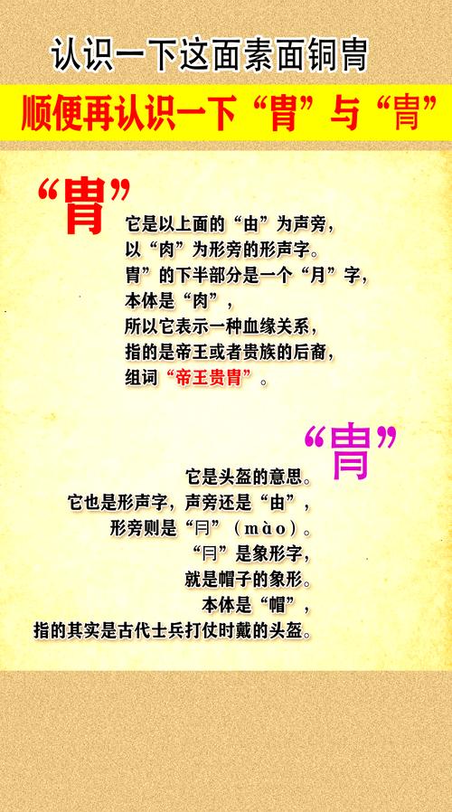 盔甲的意思解释拼音？盔甲的读音和意思