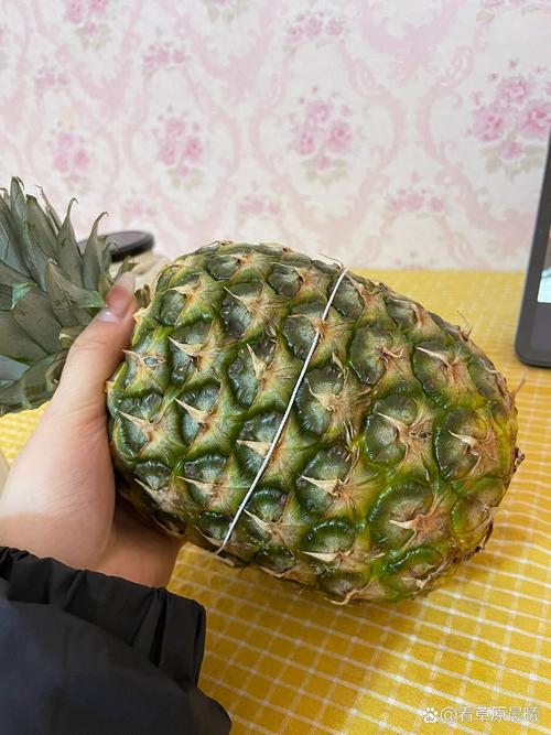 凤梨外面青的能吃吗?凤梨外面是青皮熟了吗?