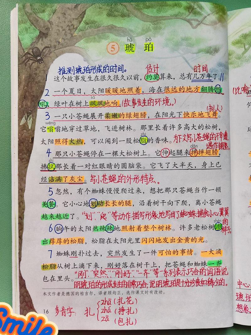 奇异的琥珀课文解析？奇异的琥珀批注