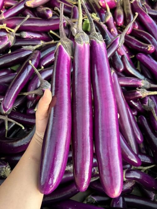 茄子紫是什么意思?？茄子紫色