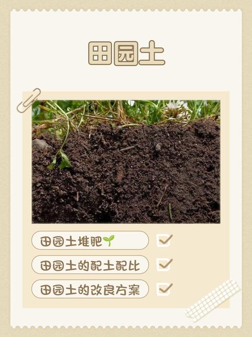 土地规模化种植的好处？规模化田种植业的特点是