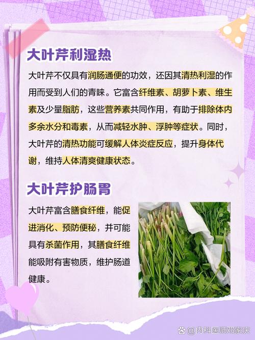 芹菜叶的营养价值及功效与作用？芹菜叶的营养价值及功效与作用是什么