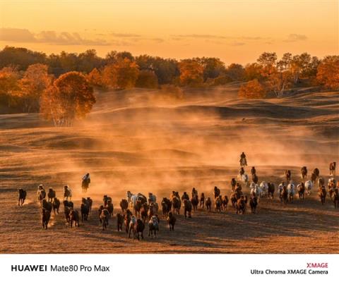 何刚晒华为Mate80系列实拍样张：红枫影像色彩表现一绝(图4)